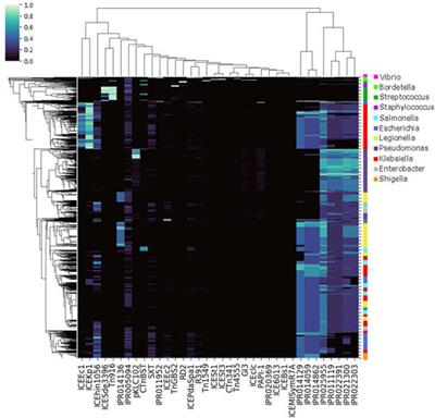ggMOB: Elucidation of genomic conjugative features and associated cargo genes across bacterial genera using genus-genus mobilization networks